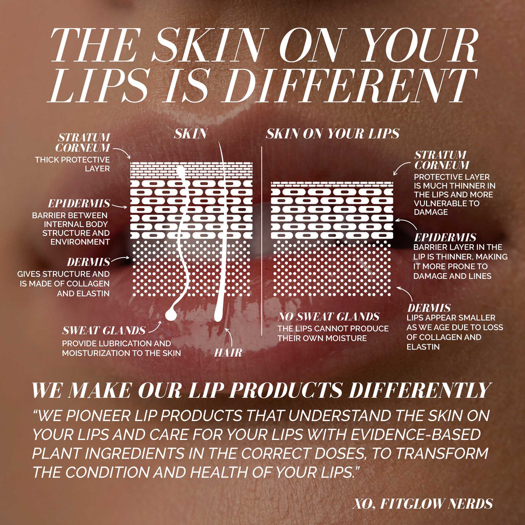 Fitglow Beauty-Ceramide Lip Hydra Balm-Makeup-CeramideHydraBalm_EduGraphic_B2B-The Detox Market | Always