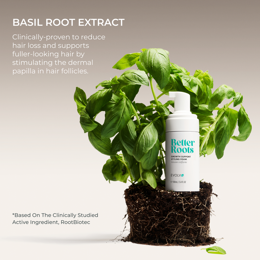 EVOLVh-Better Roots Growth Support Styling Foam-Hair-EVOLVh_betterrootsfoam_ingredienthighlight_basilrootextract-The Detox Market | 