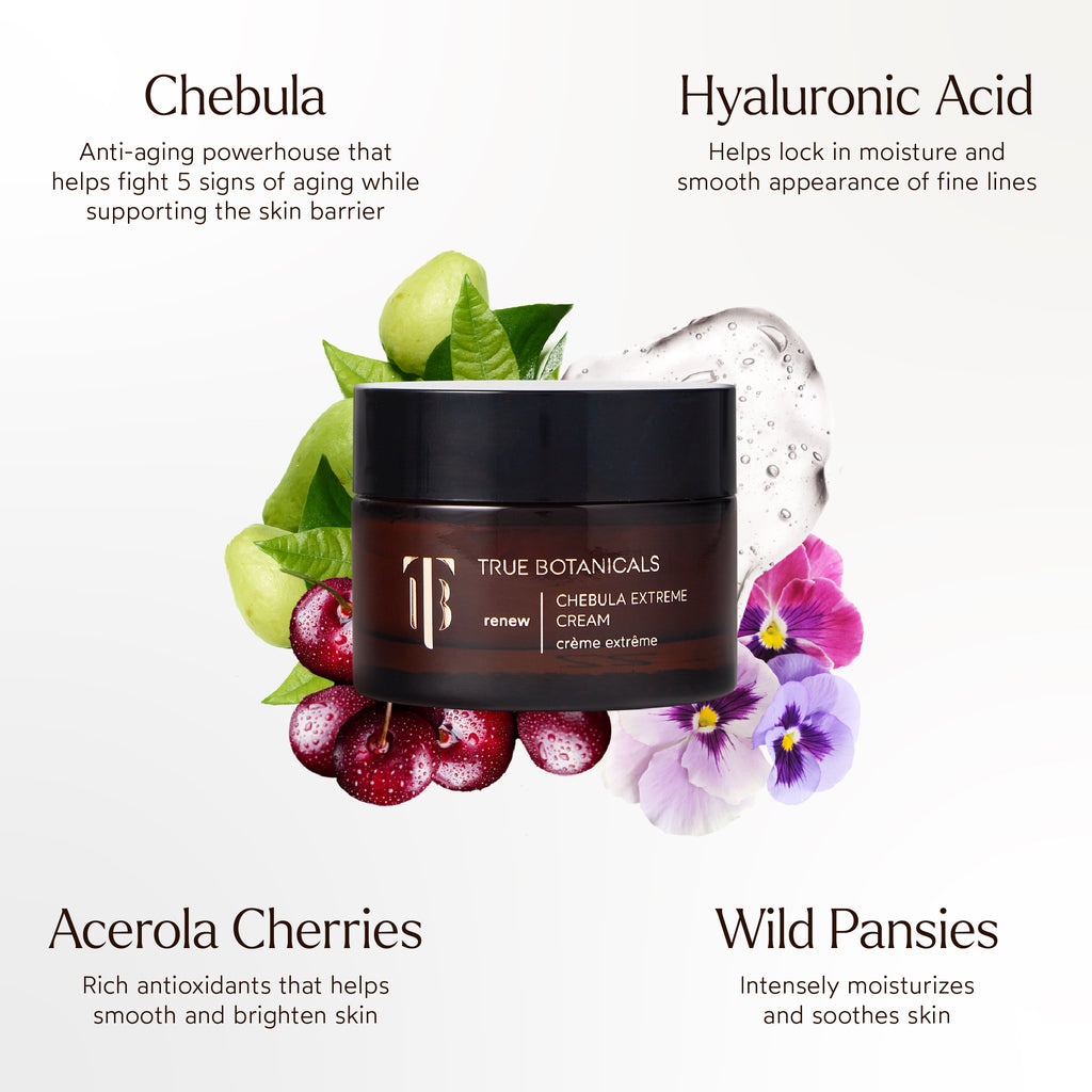 True Botanicals-Renew Chebula Extreme Cream-Skincare-S-W-D-JETM-R-8_ee433a27-b5dc-4201-bfaa-a7a1669954b6-The Detox Market | 